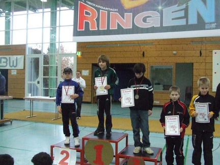 Berzirksmeisterschaften 2008 Neckargartach 062