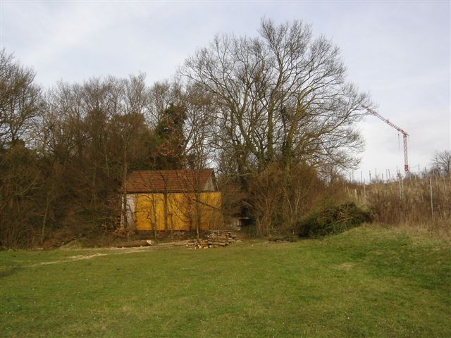 50 Jahre H__usle 529.jpg